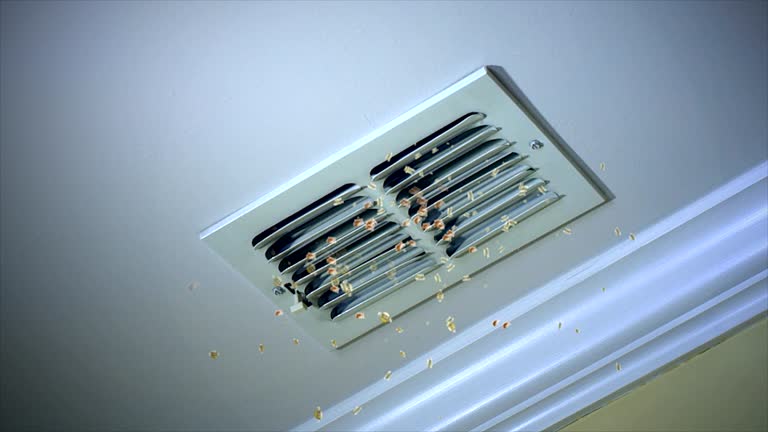 Best Air Duct Sanitizing Services  in Brooklyn, NY